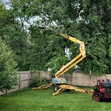 Best Arborist Consultation Services  in Pflugerville, TX