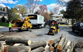 Best Lot and Land Clearing  in Pflugerville, TX